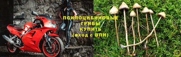 ALPHA-PVP Верея