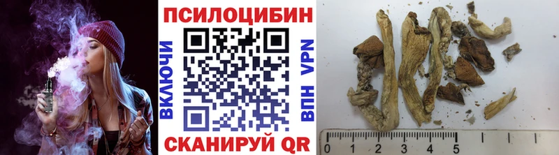 Галлюциногенные грибы прущие грибы  Купить закладки  Мариинский Посад 